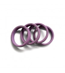 Sealing ring 21780376